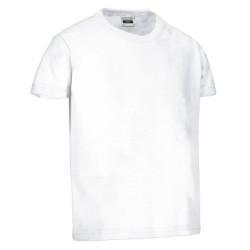 Camiseta niño m/corta DINO