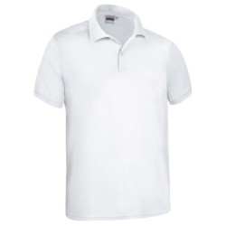 Polo KENTUCKY