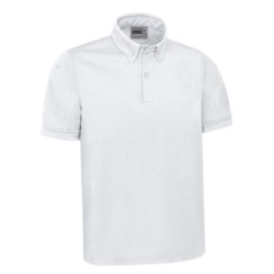 Polo WISCONSIN