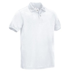 Polo TAMESIS